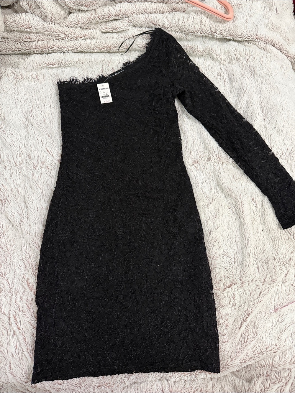 Express Black Lace Dress with Burgundy Faux Fur Trim
